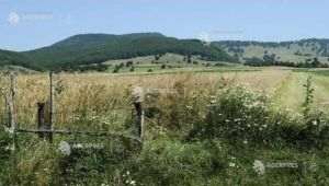 APIA primeşte cereri de plată pentru Campania 2026 între 16 martie şi 5 iunie